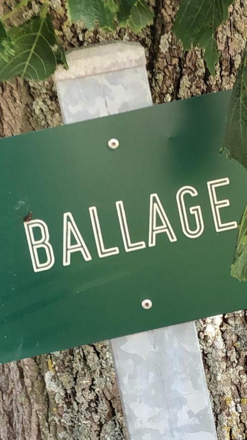 Le Gite De Ballage Chemille-Sur-Deme Dış mekan fotoğraf